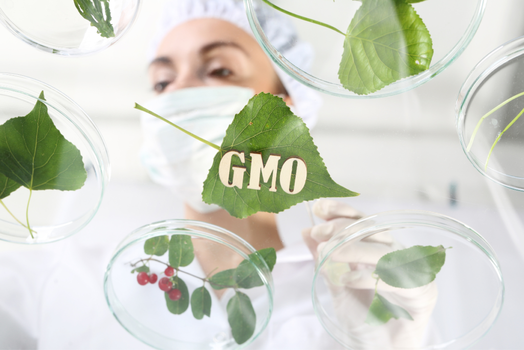 deregulation dei nuovi OGM - 24